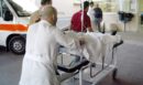 Θεσσαλονίκη: Σοβαρό επεισόδιο μεταξύ τραυματιοφορέα και συγγενή ασθενούς στον «Άγιο Δημήτριο» - Συνελήφθη ο εργαζόμενος