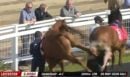 Βίντεο-σοκ: Άλογο κλωτσάει με δύναμη 25χρονη σε ιππόδρομο - Την έστειλε στο νοσοκομείο