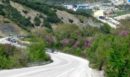 Ιωάννινα: Πώς αποκαλύφθηκε υπόθεση παράνομης διακίνησης αλλοδαπών στην Κακαβιά