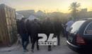 Δολοφονία στην Κρήτη: «Παιδί μου δεν σε γλίτωσα» - Ραγίζουν καρδιές στο σπίτι του 21χρονου Νικήτα, ντυμένος γαμπρός στο φέρετρο