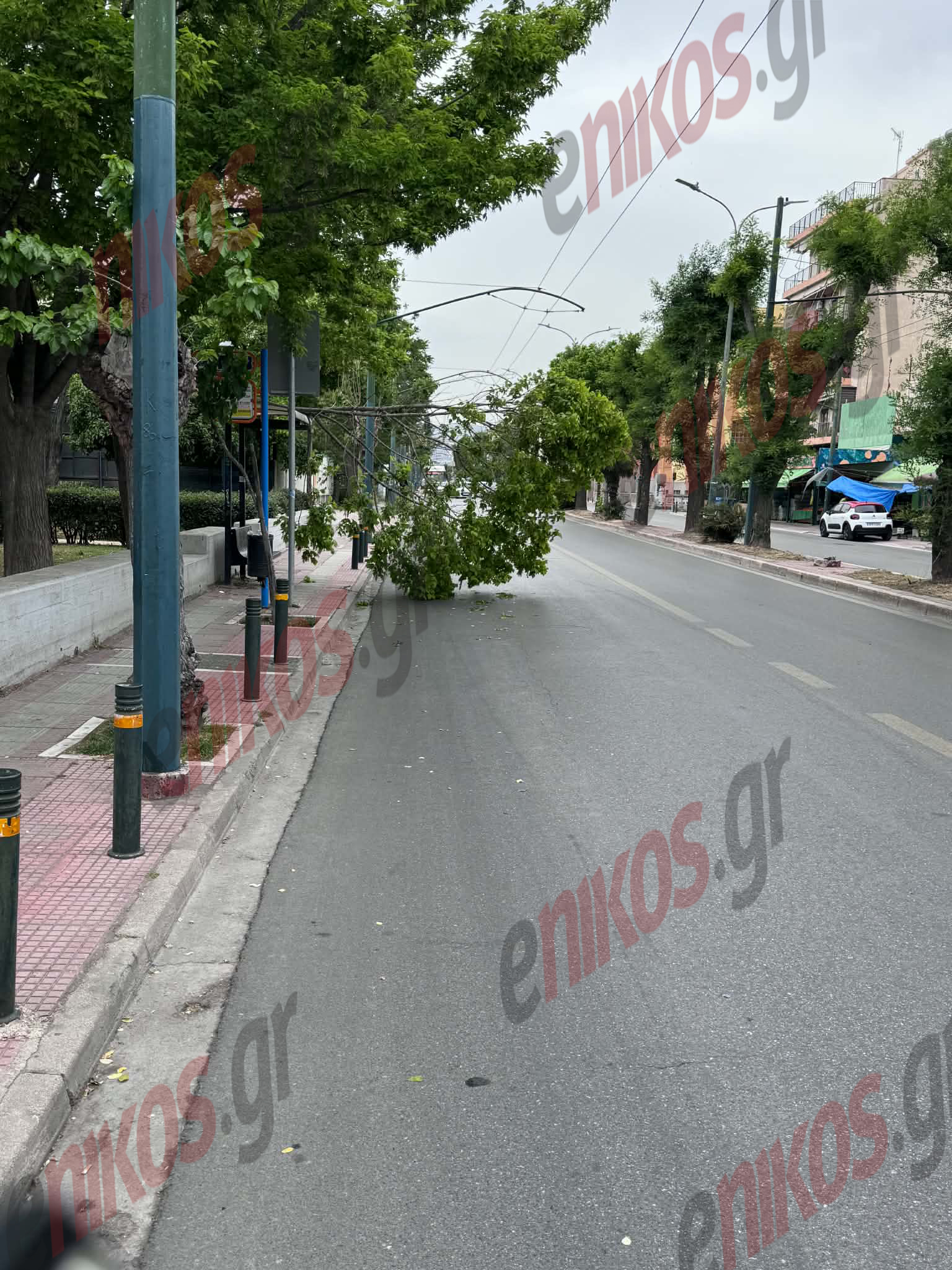 Λένορμαν, Πτώση Δέντρο, κλαδί