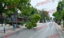 Κλαδί δέντρου έπεσε πάνω σε στάση λεωφορείου στη Λένορμαν - Εμπόδισε και την κυκλοφορία των οχημάτων - ΦΩΤΟ και ΒΙΝΤΕΟ αναγνώστη