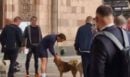 Μακρόν: Έκανε τζόκινγκ στους δρόμους του Γερεβάν πριν τη Σύνοδο Κορυφής - Δείτε το βίντεο