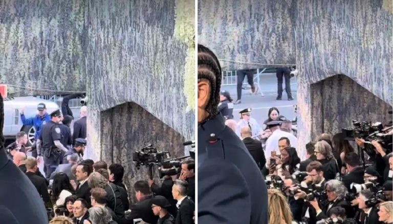 Met Gala 2026, διαδηλωτής