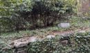 Οπτική ψευδαίσθηση: Μόνο αν έχετε παρατηρητικότητα ντετέκτιβ, θα εντοπίσετε το κουνέλι στην εικόνα σε 11 δευτερόλεπτα