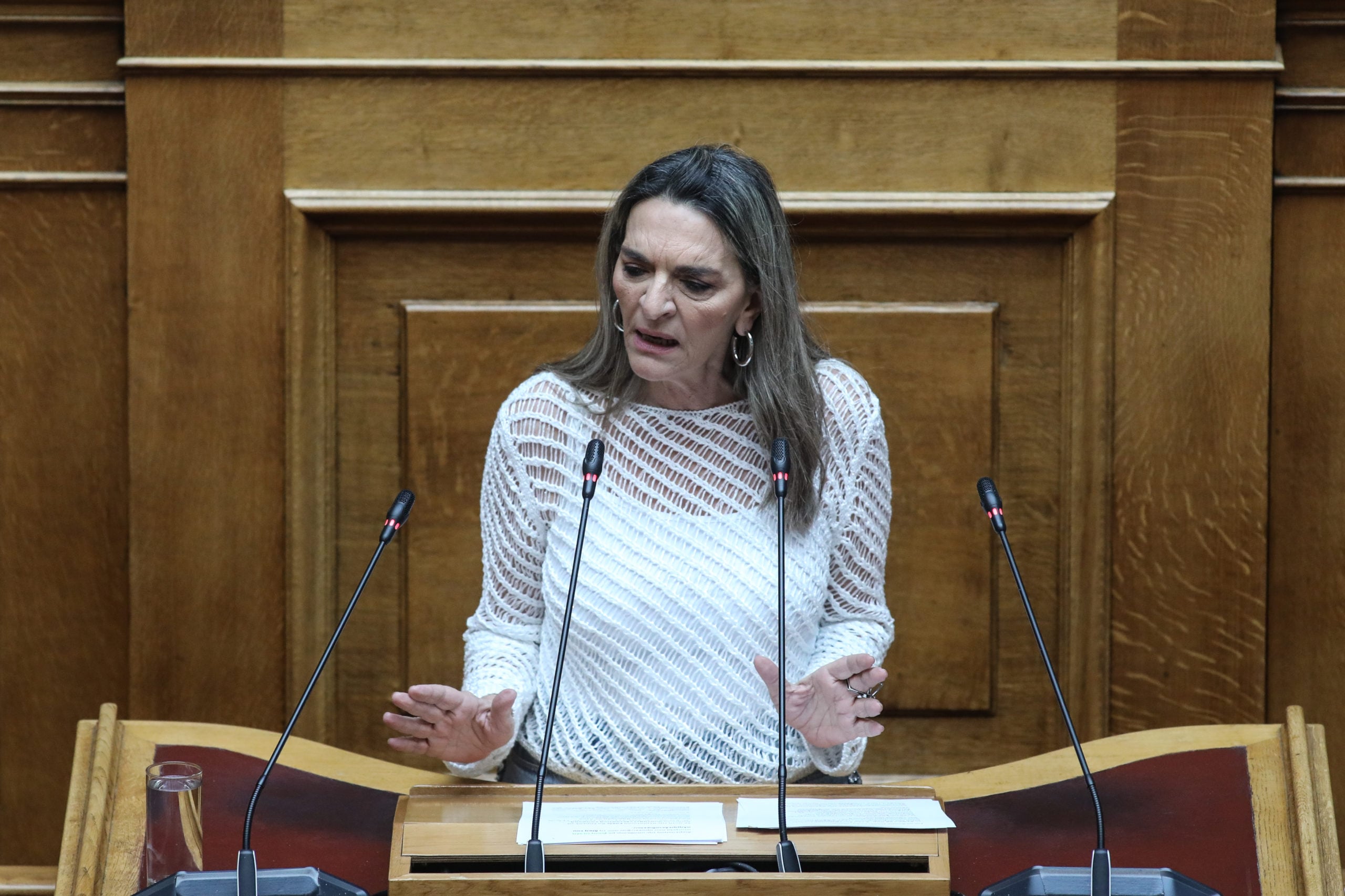 Πέρκα: Καταχρηστική η επίκληση των λόγων εθνικής ασφάλειας