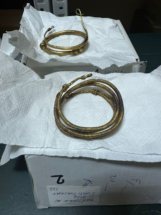 Φωτογραφία: Prahova Museum of History and Archaeology