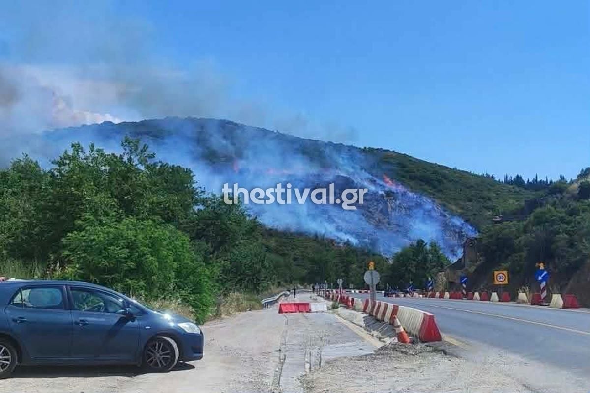 Σύμφωνα με πληροφορίες, από τη φωτιά κάηκαν 22 στρέμματα δασικής έκτασης