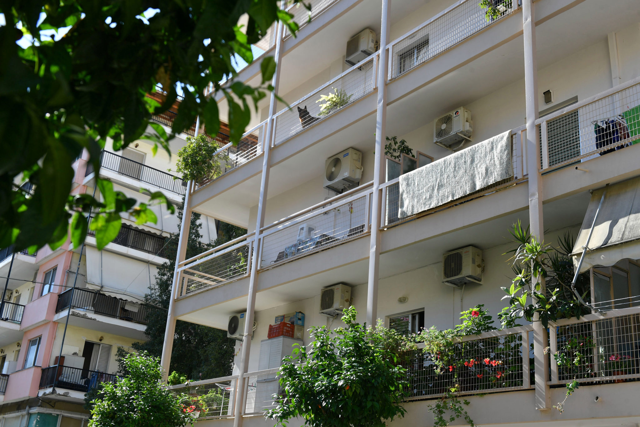 Καλαμάτα δολοφονία