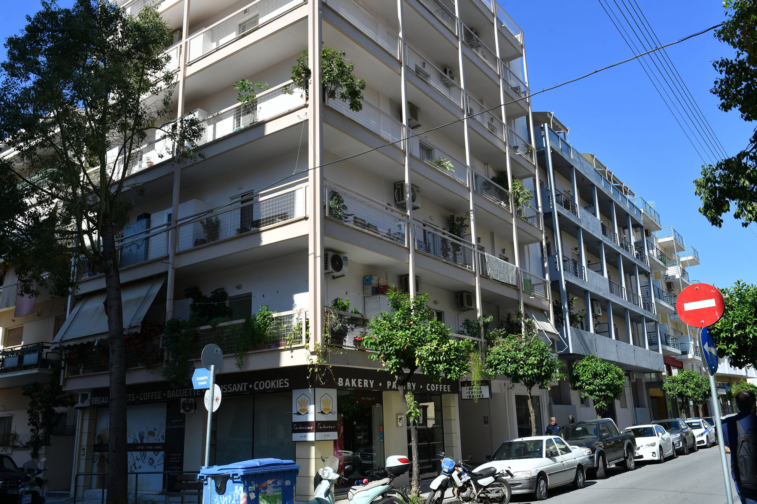 Καλαμάτα δολοφονία