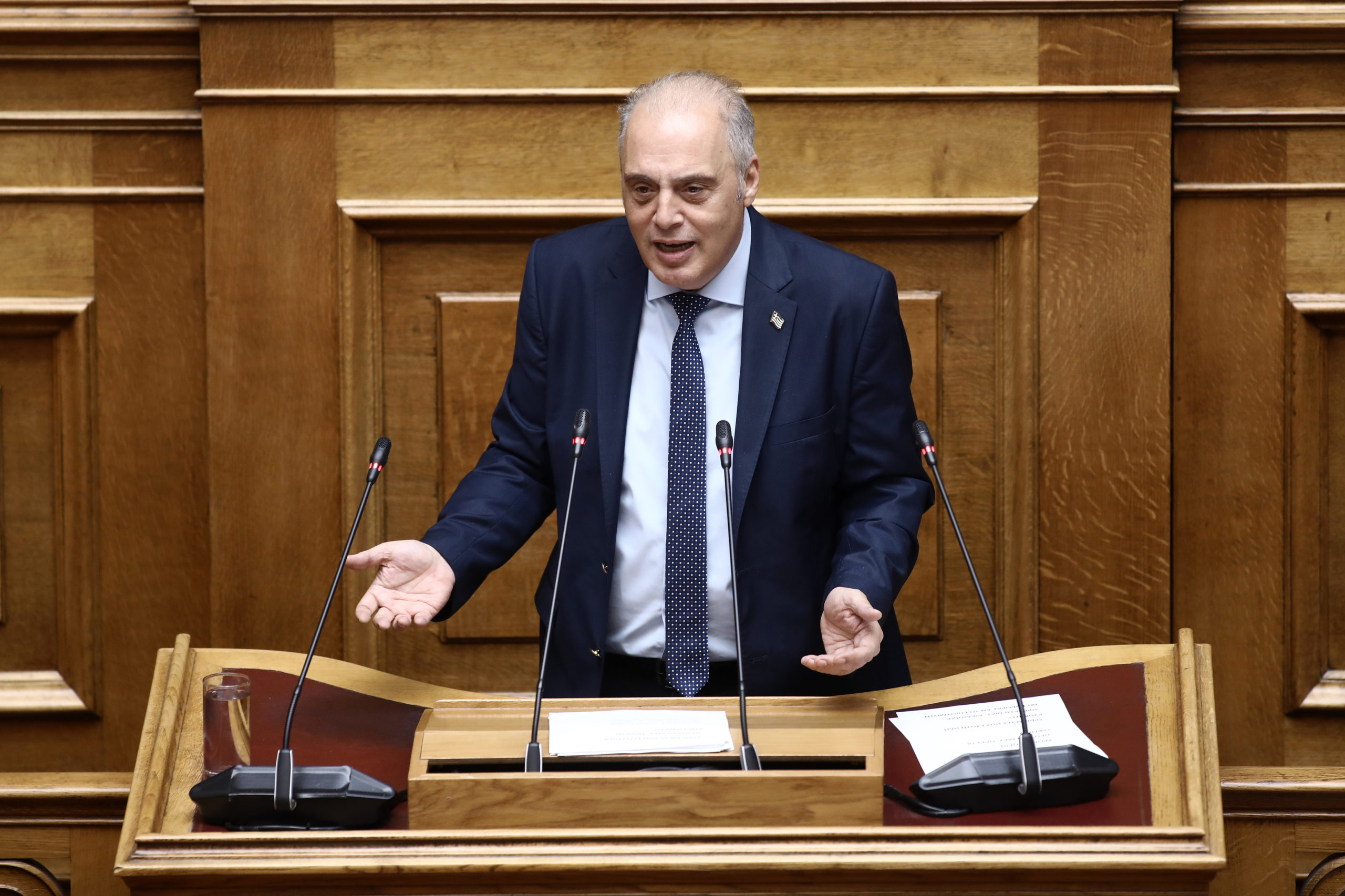Βουλή – Βελόπουλος: Έχουμε συγκεκριμένο πρόγραμμα – Tέλος οι γαλάζιες ακρίδες, οι γαλάζιοι λαγοκέφαλοι και οι γαλάζιες κομπίνες