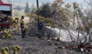Σε ένα 24ωρο εκδηλώθηκαν 32 αγροτοδασικές φωτιές - Επί ποδός ο κρατικός μηχανισμός την πρώτη ημέρα με υψηλό κίνδυνο πυρκαγιάς
