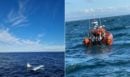 Ουαλία: Επέζησαν από πτώση αεροσκάφους στη θάλασσα και περίμεναν τους διασώστες καθισμένοι πάνω στο φτερό