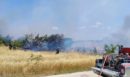 Σε εξέλιξη φωτιά στον Ελεώνα - Ισχυρές δυνάμεις επιχειρούν, δεν απειλούνται κατοικίες