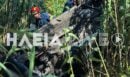 Τροχαίο στην Ηλεία: Αυτοκίνητο προσέκρουσε σε δέντρο και κατέληξε σε χωράφι - Ένας τραυματίας