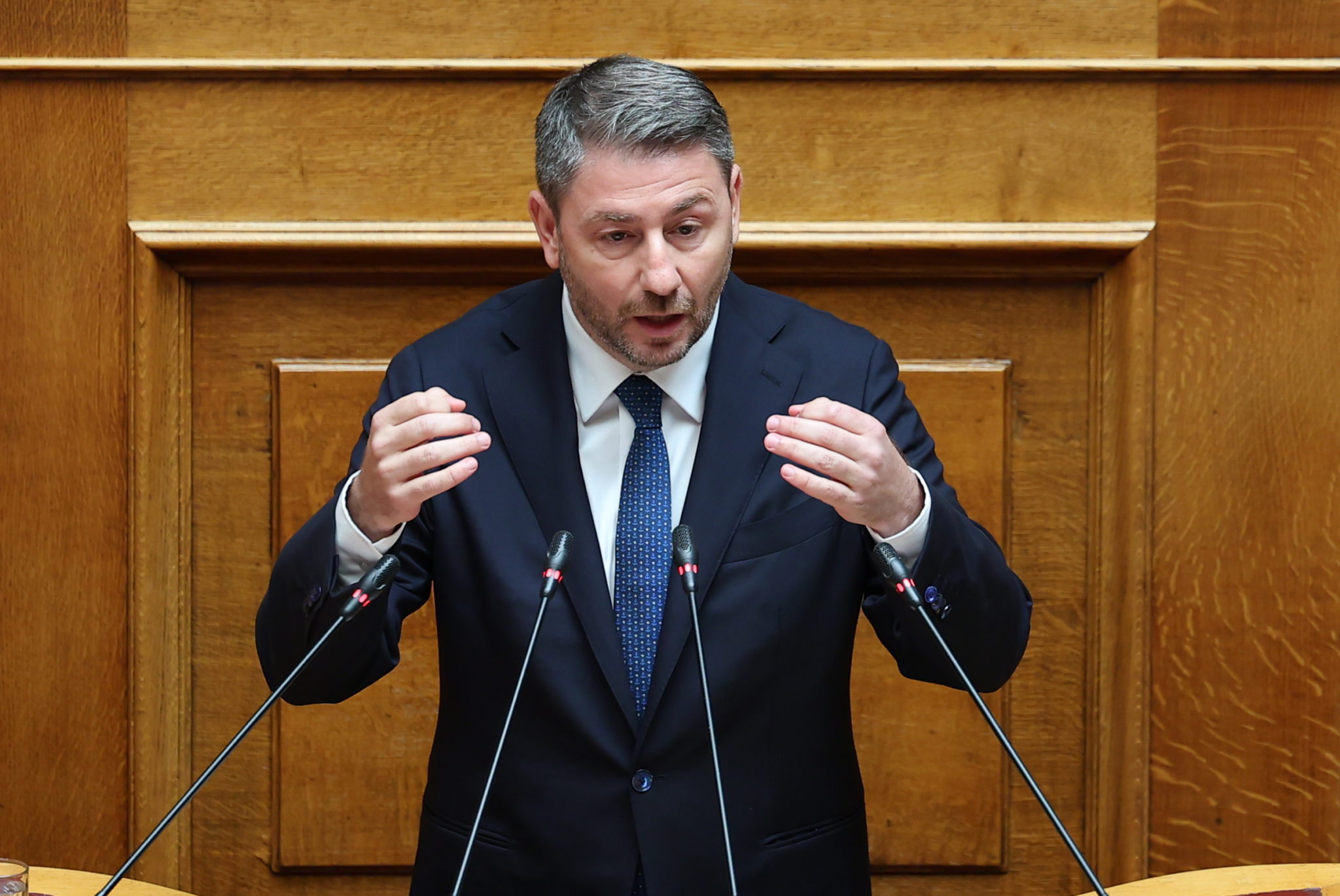 Νίκος Ανδρουλάκης