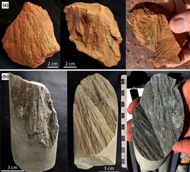 Μερικοί από τους κώνους θραύσης (shatter cones) της Όρα Μπάντα (Ora Banda). (Quintero et al., Meteorit. Planet. Sci., 2026)