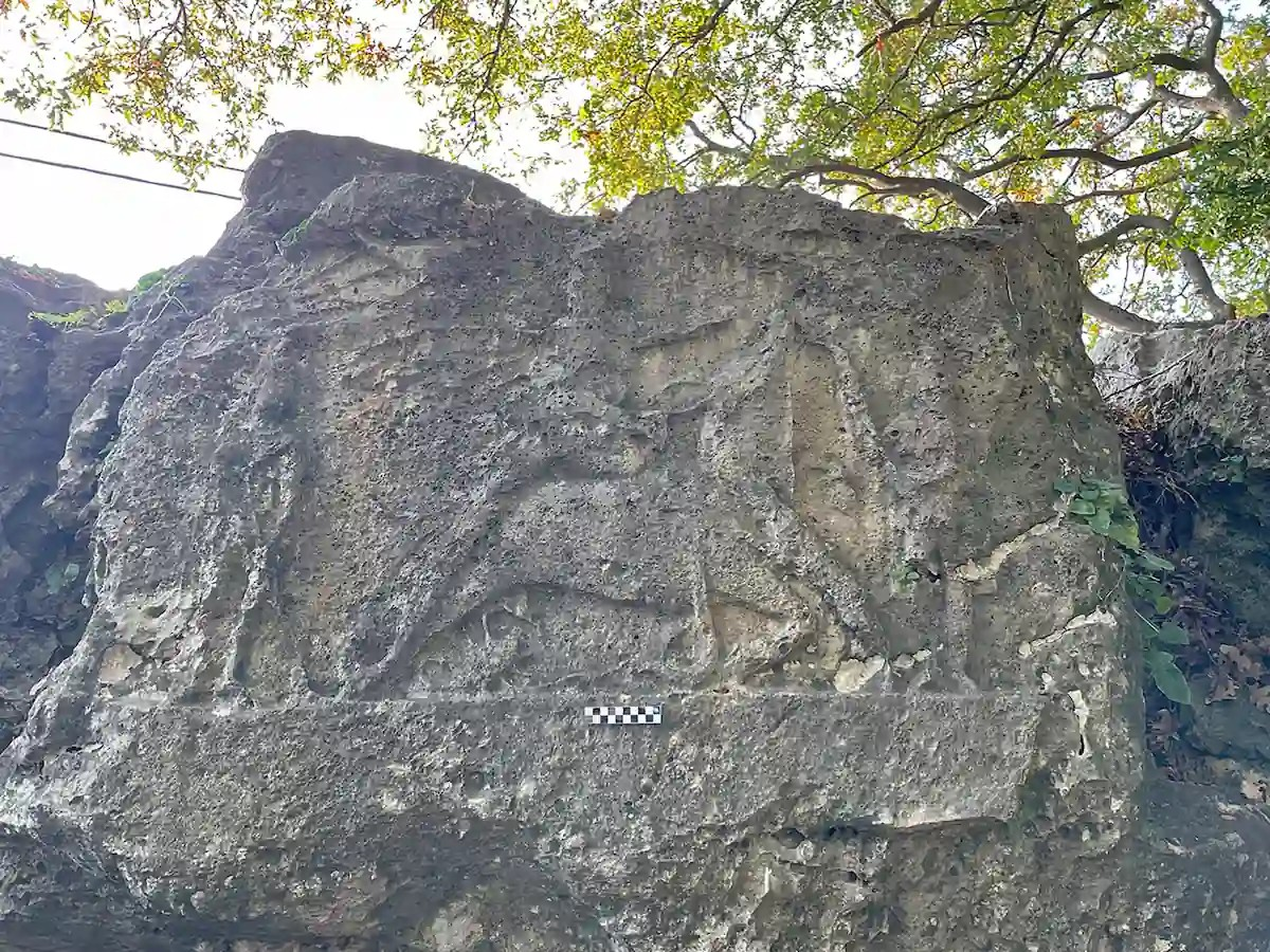 Λεπτομέρεια του ανάγλυφου της ταυροκτονίας στο Močići. Πίστωση: Ian Wilson