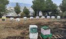 Φιλοθέη: Εξετάζεται το σενάριο η φωτιά να ξεκίνησε από μελίσσια – Αναζητούνται οι μελισσοκόμοι - ΦΩΤΟ