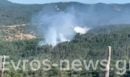 Έβρος: Φωτιά σε δασική έκταση