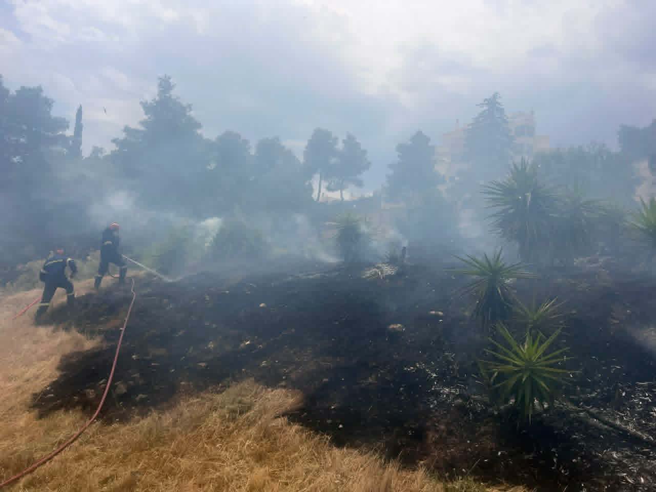 Υπό έλεγχο η φωτιά στον λόφο Φιλοθέης – Έρευνα της ΔΑΕΕ για τα αίτια – ΦΩΤΟ και ΒΙΝΤΕΟ