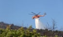 Βοιωτία: Πυρκαγιά σε δασική έκταση στο Κυριάκι