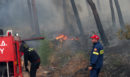 Φωτιά στο Δερβένι Ωραιοκάστρου: Θρίλερ με 12χρονο - Πληροφορίες ότι αγνοείται
