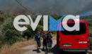 Εύβοια: Mεγάλη φωτιά στην Κάρυστο - Μεγάλη κινητοποίηση της Πυροσβεστικής