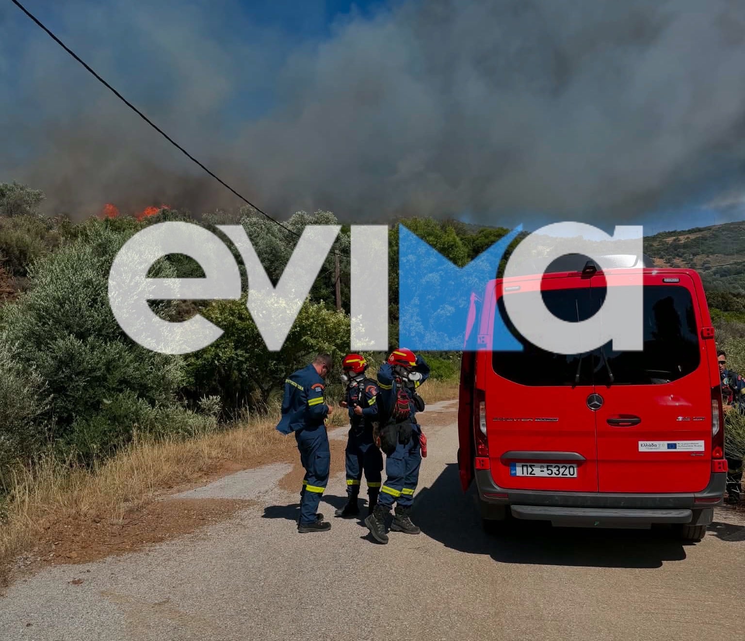 Φωτιά σε δασική έκταση στην Εύβοια – Μεγάλη κινητοποίηση της Πυροσβεστικής – ΦΩΤΟ και ΒΙΝΤΕΟ