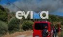 Εύβοια: Φωτιά σε δασική έκταση στην Κάρυστο - Ήχησε το 112 για ετοιμότητα