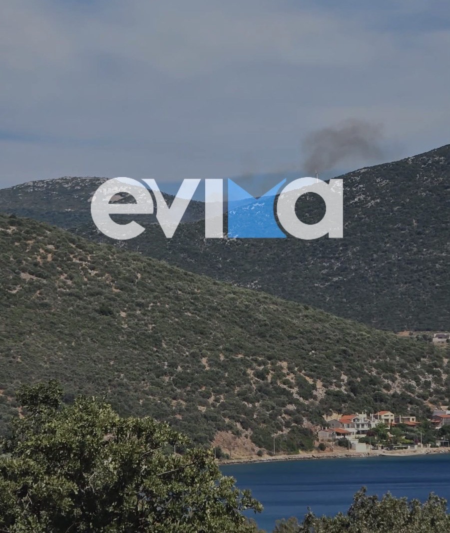 Φωτιά, Εύβοια