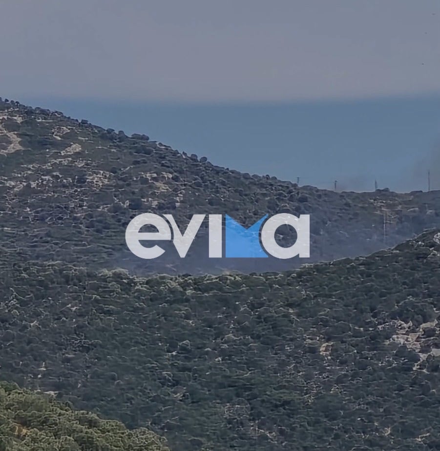 Φωτιά, Εύβοια