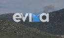 Εύβοια: Οριοθετήθηκε η φωτιά στον Αλμυροπόταμο, φόβοι για αναζοπυρώσεις - Ισχυρές πυροσβεστικές δυνάμεις στο σημείο