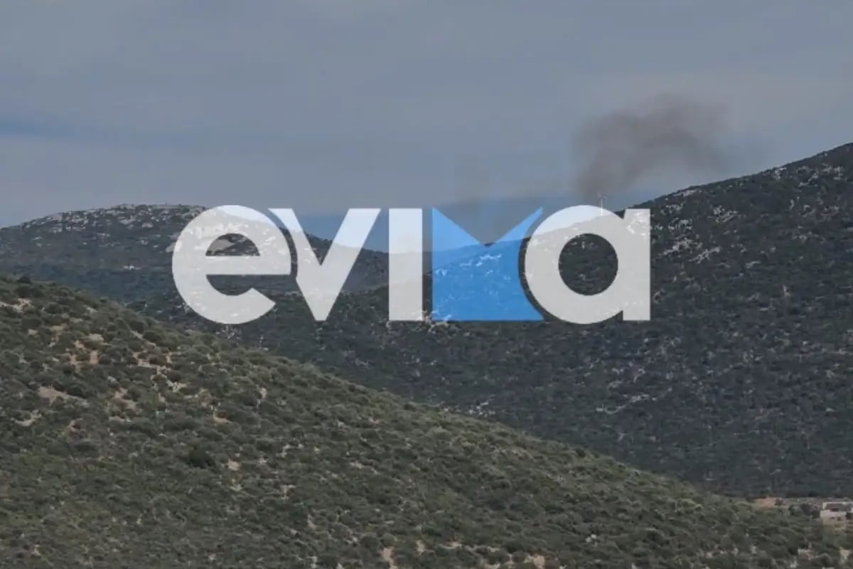 Εύβοια: Οριοθετήθηκε η φωτιά στον Αλμυροπόταμο, φόβοι για αναζοπυρώσεις – Ισχυρές πυροσβεστικές δυνάμεις στο σημείο