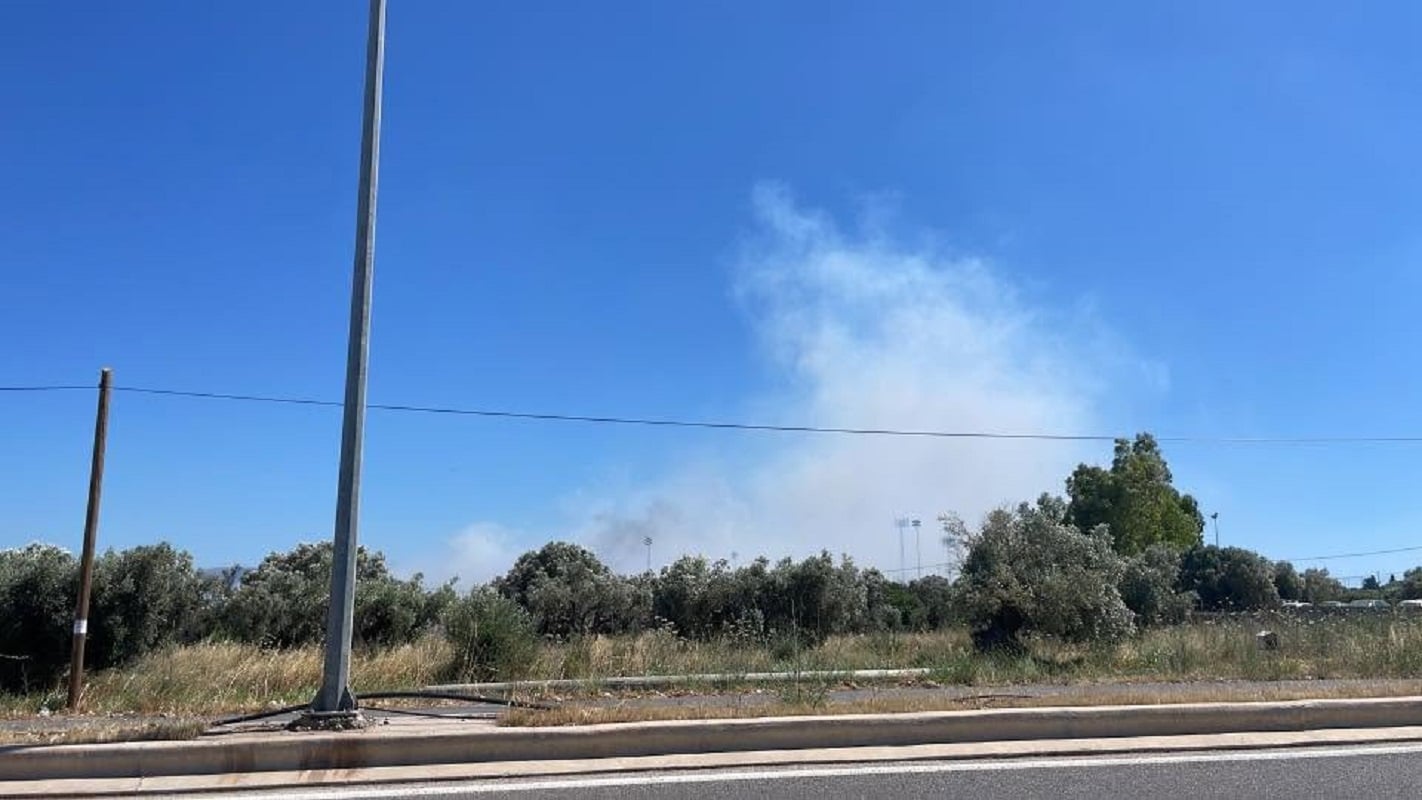 Φωτιά στη Βοιωτία: Καίγεται δασική έκταση στο Ακραίφνιο – Μήνυμα από το 112