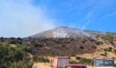 Μαίνεται η φωτιά στον Ορχομενό Βοιωτίας - Πάνω από 100 πυροσβέστες και 13 εναέρια μέσα στη μάχη της κατάσβεσης