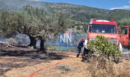 Αιτωλοακαρνανία: Φωτιά στην Κάτω Μαμουλάδα - Οι πρώτες εικόνες