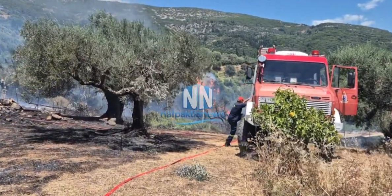 Αιτωλοακαρνανία: Φωτιά στην Κάτω Μαμουλάδα – Οι πρώτες εικόνες