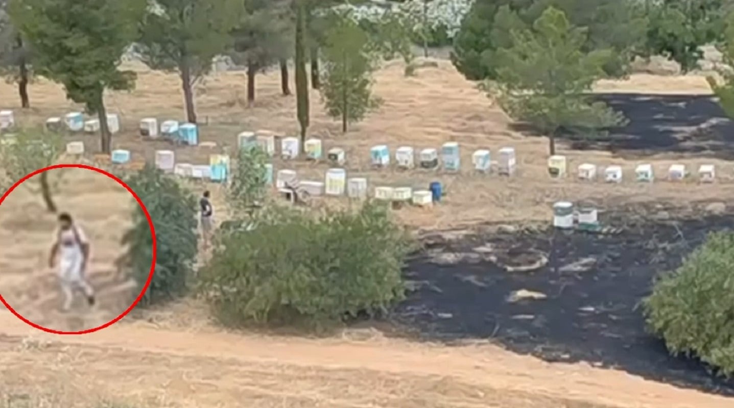 Φιλοθέη: Βίντεο-ντοκουμέντο δείχνει μελισσοκόμο να απομακρύνεται όταν οριοθετήθηκε η φωτιά – Ταυτοποιήθηκε και αναζητείται