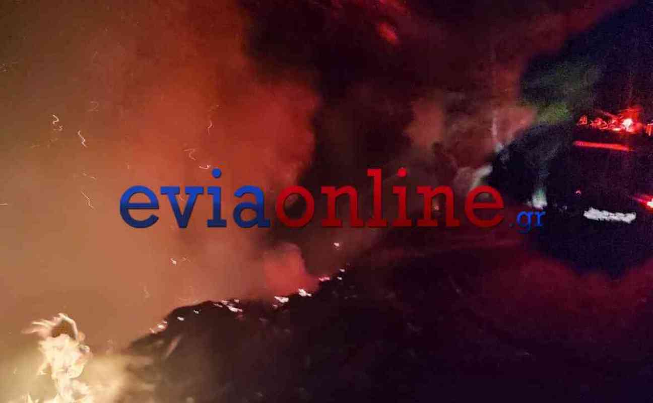 Φωτιές από κεραυνούς ξέσπασαν στην Εύβοια – Δείτε βίντεο