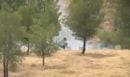 Βίντεο - ντοκουμέντο: Η στιγμή που ο μελισσοκόμος προσπαθεί να σβήσει τη φωτιά – Τι υποστηρίζει