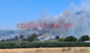 Φωτιά στην Πέτρα Βοιωτίας - Καίει χαμηλή βλάστηση