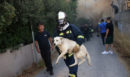 Φωτιά στο Ηράκλειο: Κάηκαν τα στέφανα και το νυφικό μίας κοπέλας 1,5 μήνα πριν από τον γάμο - «Προλάβαμε και βγάλαμε τα σκυλάκια μας»