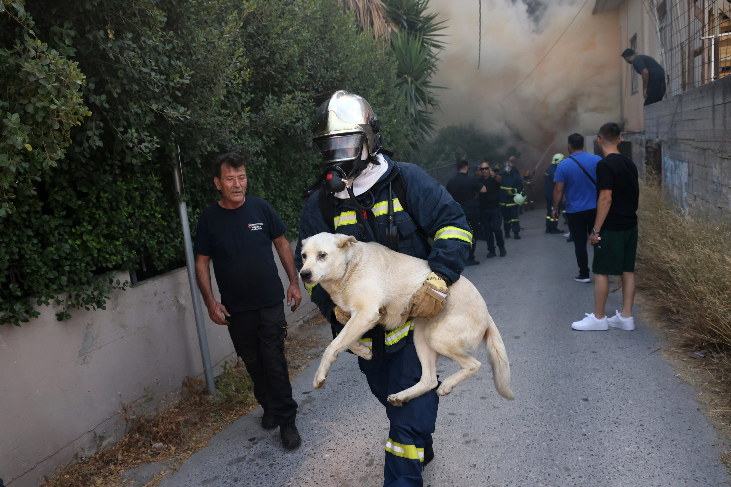 Φωτιά στο Ηράκλειο: Κάηκαν τα στέφανα και το νυφικό μίας κοπέλας 1,5 μήνα πριν από τον γάμο – «Προλάβαμε και βγάλαμε τα σκυλάκια μας»