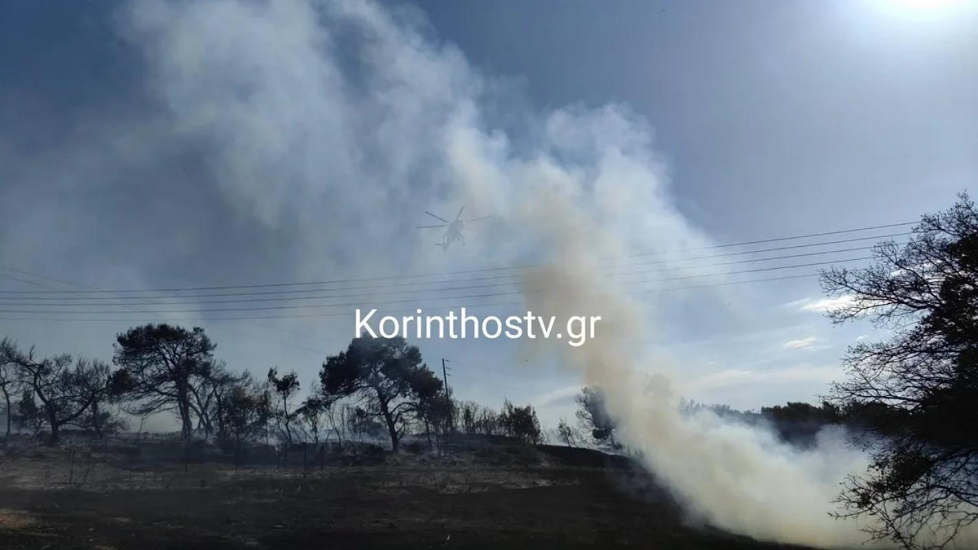 Σε ύφεση η φωτιά στον Άγιο Δημήτριο Κορινθίας