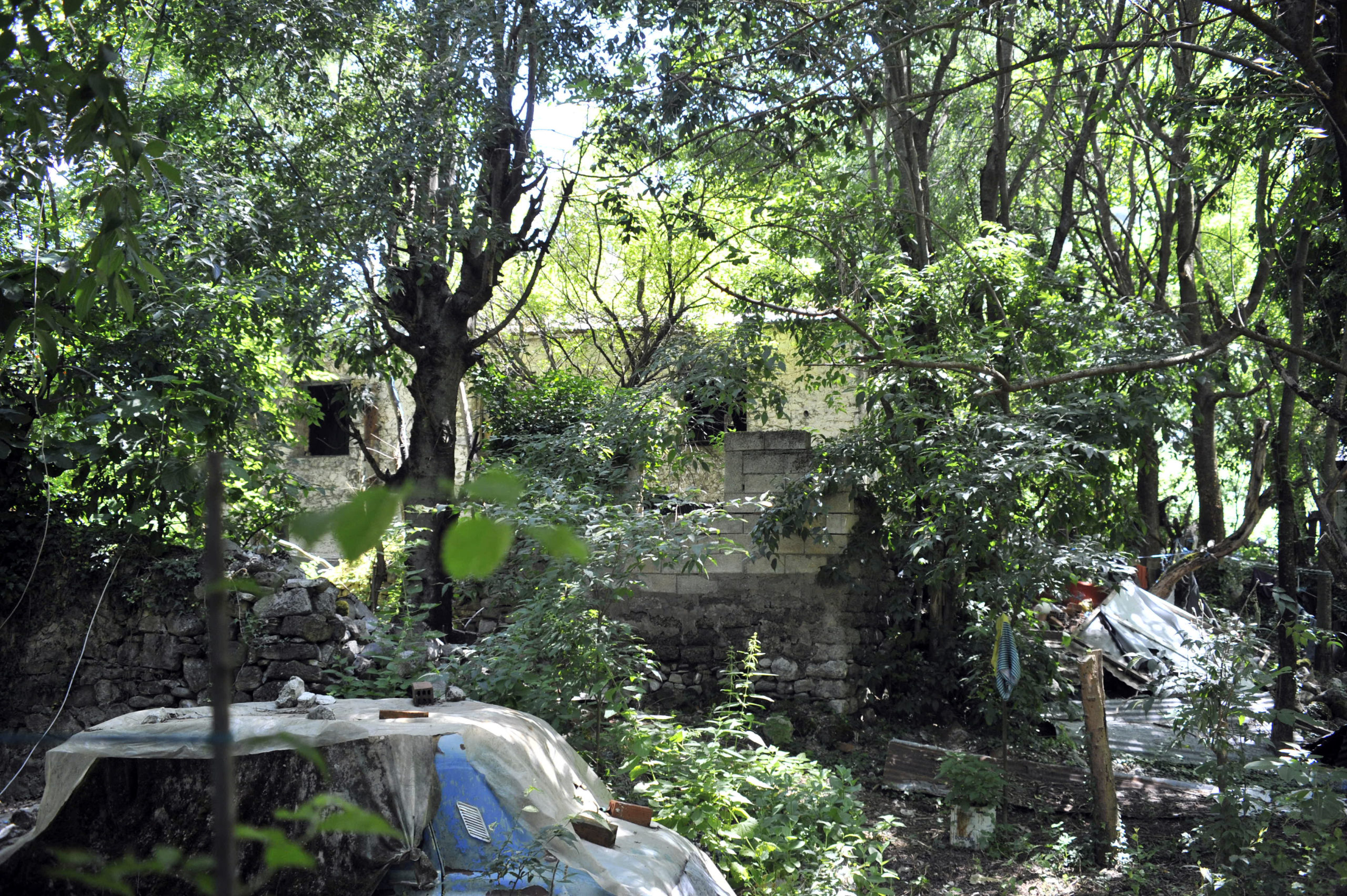 Κόνιτσα, φωτιά, Κοντέινερ, αδέλφια