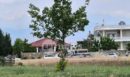 Λάρισα: Μία σύλληψη στην επιχείρηση του οργανωμένου εγκλήματος στη Γιάννουλη