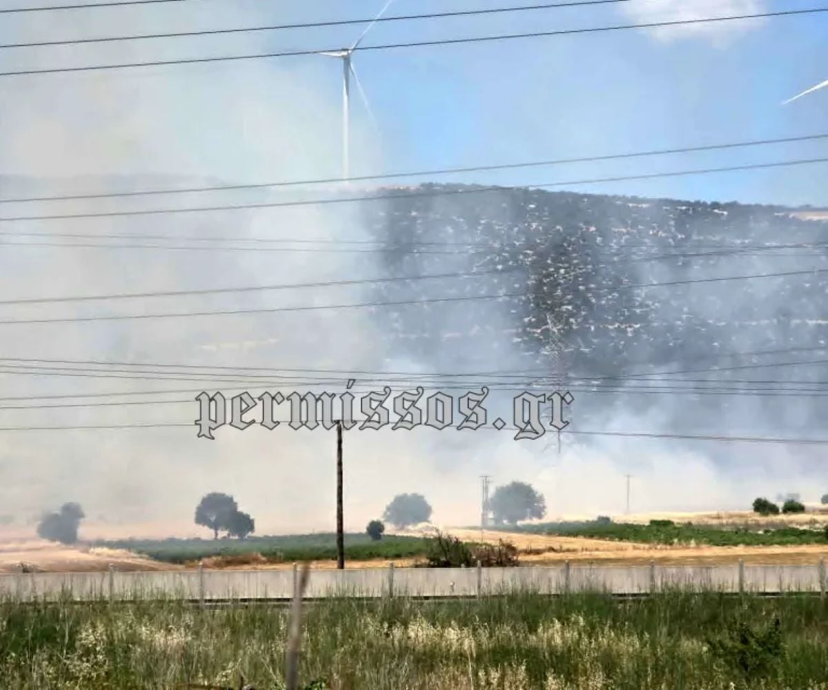 Σε εξέλιξη φωτιά στον Ελεώνα – Ισχυρές δυνάμεις επιχειρούν, δεν απειλούνται κατοικίες
