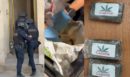 ΕΛΑΣ: Αστυνομική επιχείρηση για συμμορία που διακινούσε ναρκωτικά - 3 συλλήψεις σε Νέα Φιλαδέλφεια και Αγίους Αναργύρους