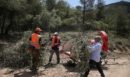 Reuters: Η Ελλάδα στη μάχη με τις πυρκαγιές - Η αναγέννηση καμένων εκτάσεων έπειτα από δεκαετίες εγκατάλειψης